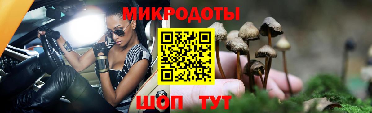 Галлюциногенные грибы Psilocybine cubensis Бор